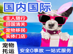 牡丹江海浪航空邮寄国际宠物托运 【国